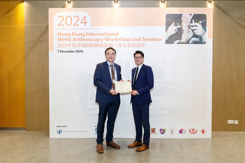 HK Wrist Course 2024- Seminar  - 129 of 257